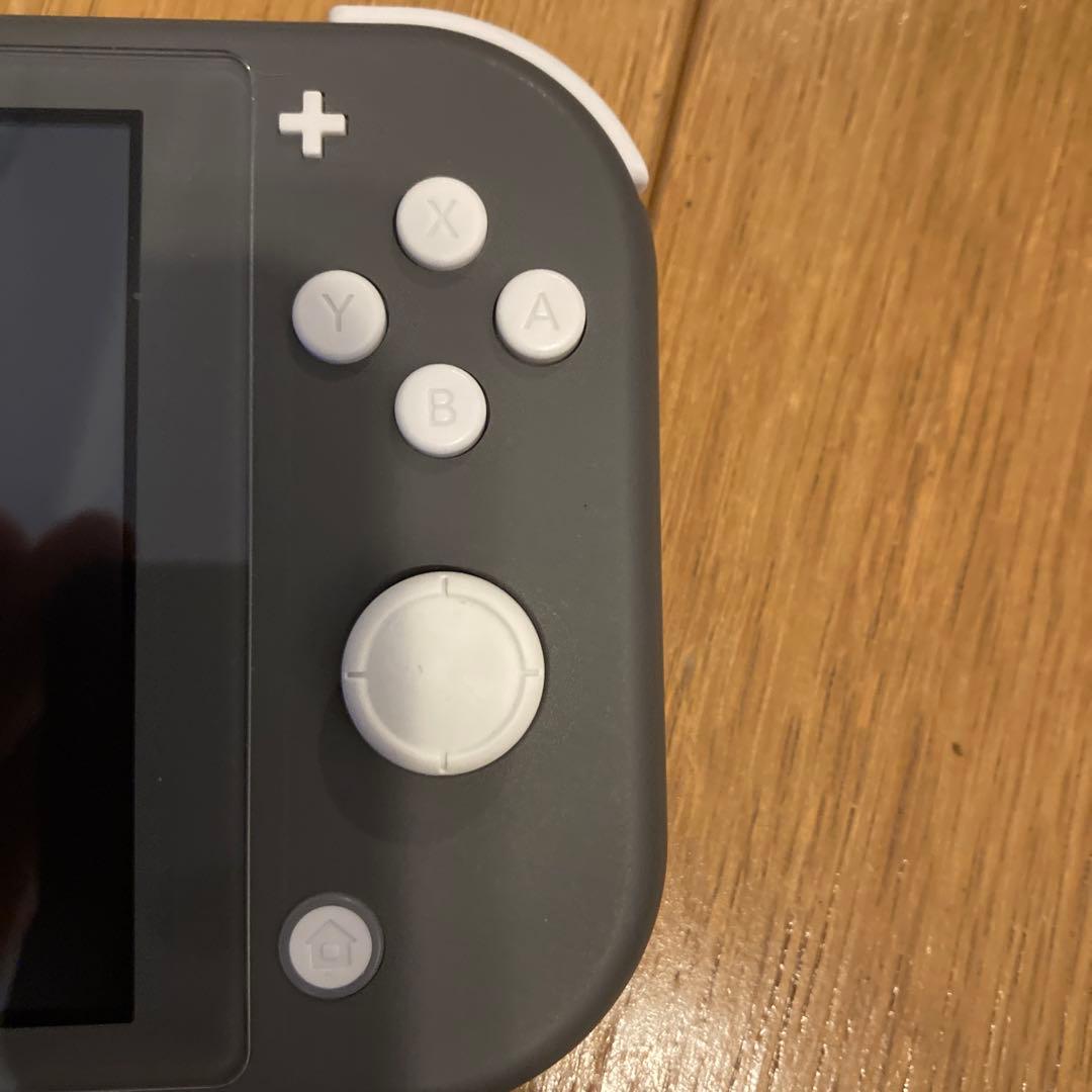 Nintendo Switch Lite グレー ➕　ケース