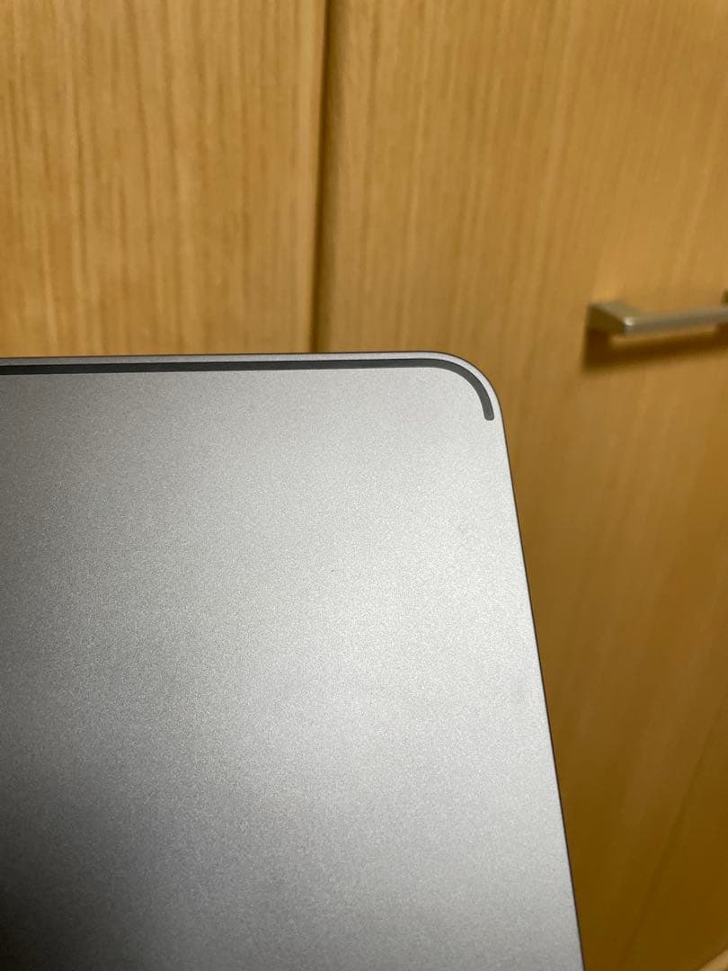 iPad pro 11インチ 第二世代 256GB 美品 本体