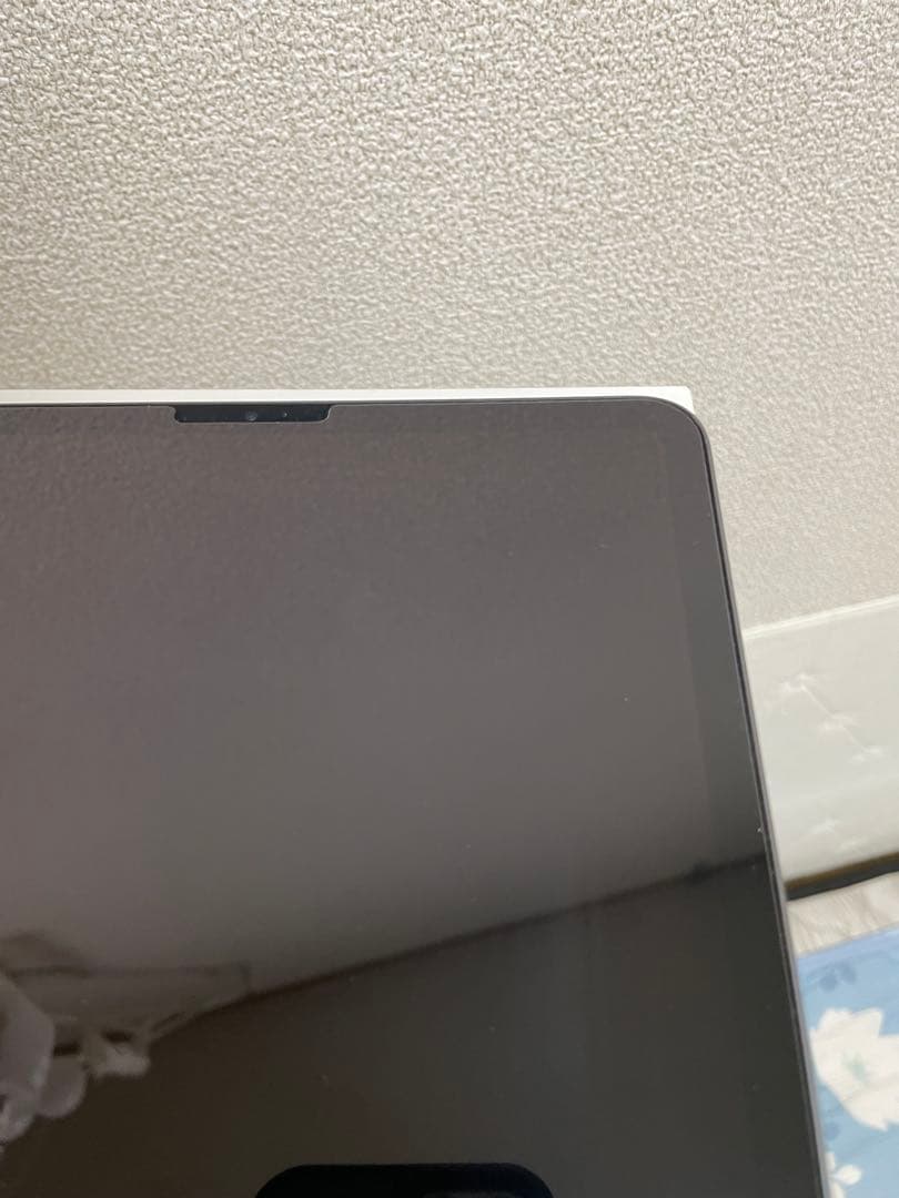 iPad pro 11インチ 第二世代 256GB 美品 本体