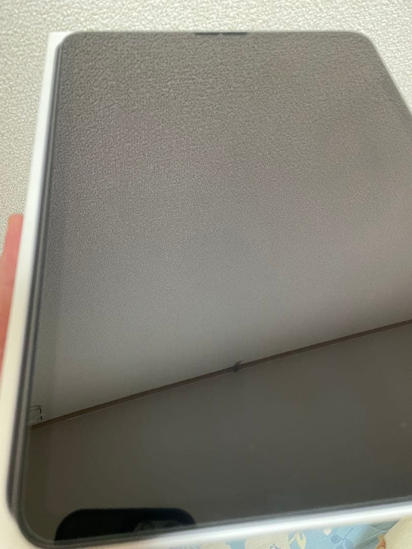 iPad pro 11インチ 第二世代 256GB 美品 本体