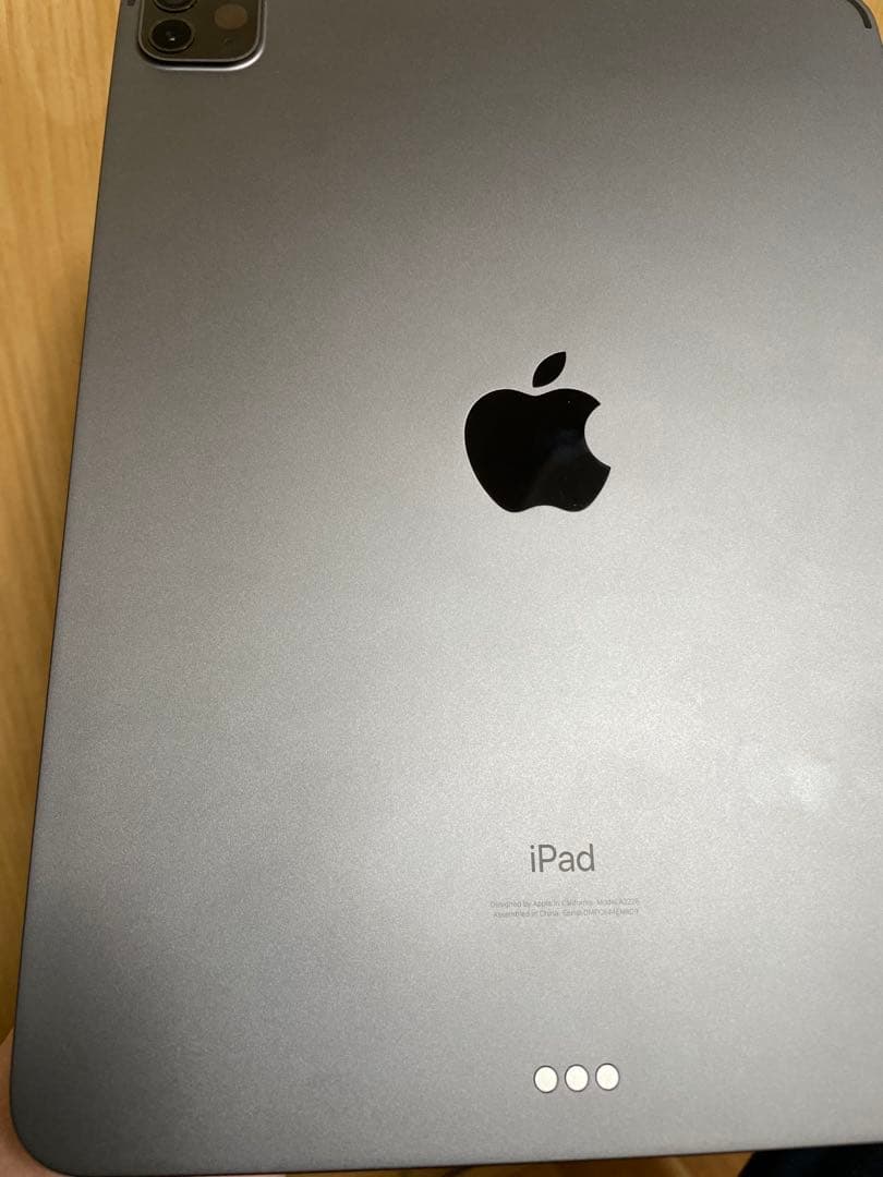 iPad pro 11インチ 第二世代 256GB 美品 本体