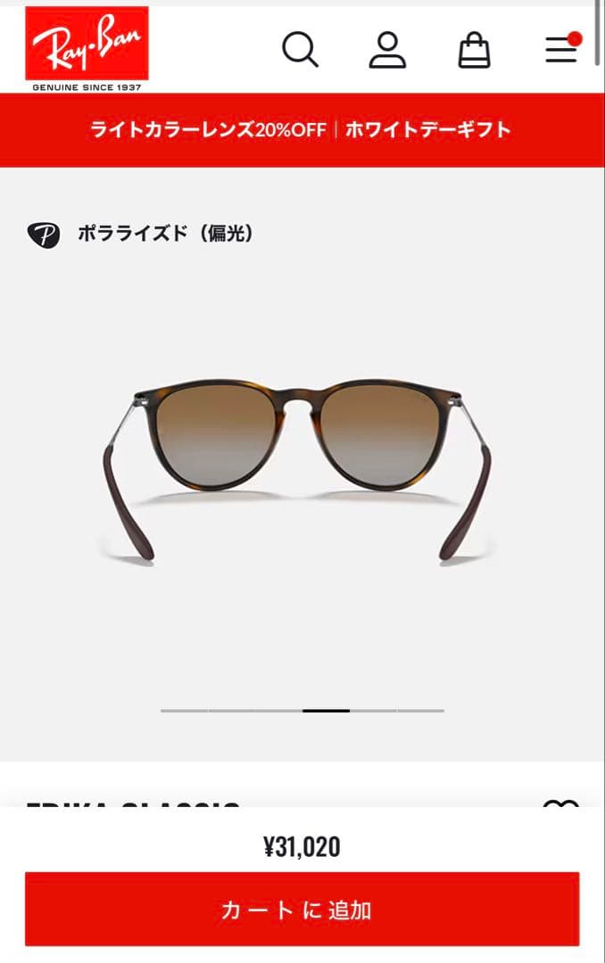 レイバン 偏光サングラス ERIKA Classicモデル
