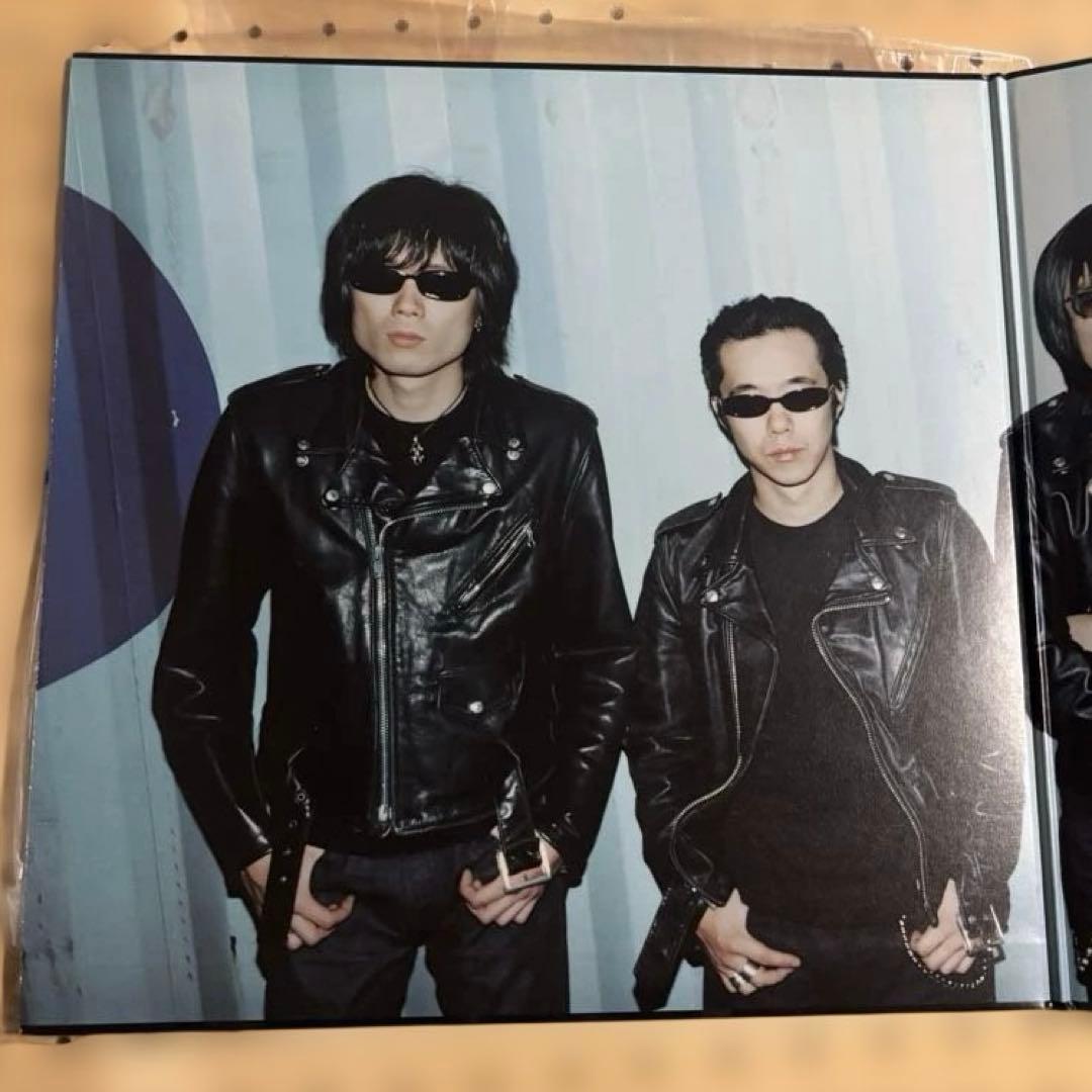 ミッシェルガンエレファント　12inch レコード