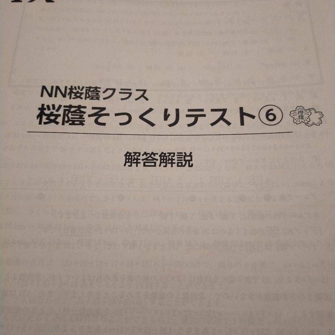 NN桜蔭クラス 桜蔭そっくりテスト算数 問題解答解説集Ⅰから15 2025年度用