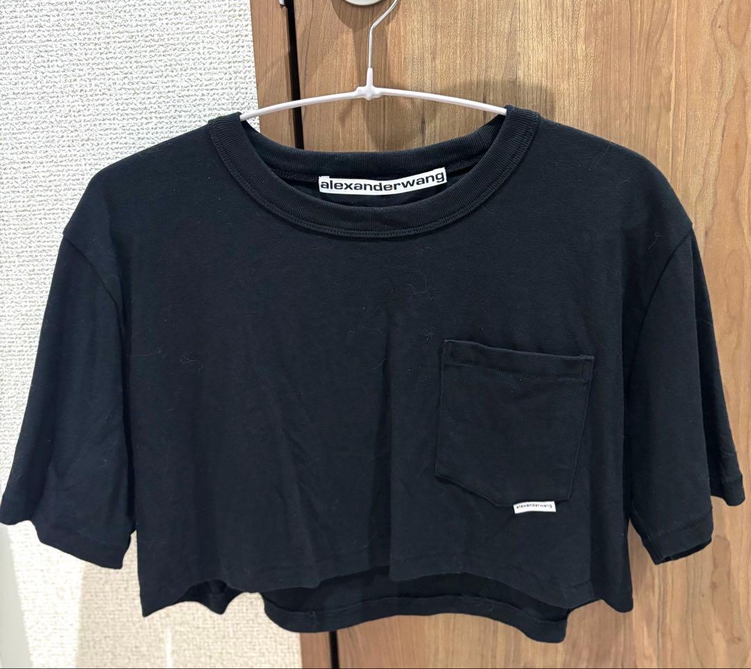【美品】Alexander Wang アレキサンダーワン ショート丈半袖Tシャツ