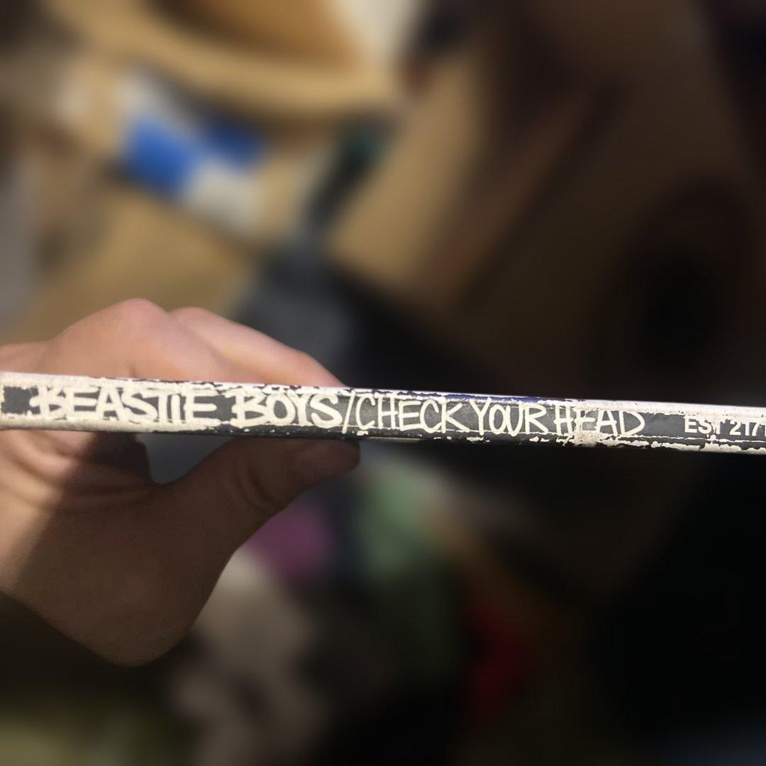 Beastie Boys - Check Your Head レコード