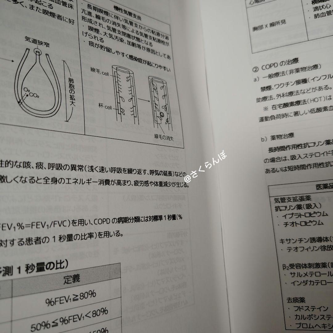 薬ゼミ　2025青本凝縮教科書　直前講習　やま　全科目　111回〜受験　予備校生