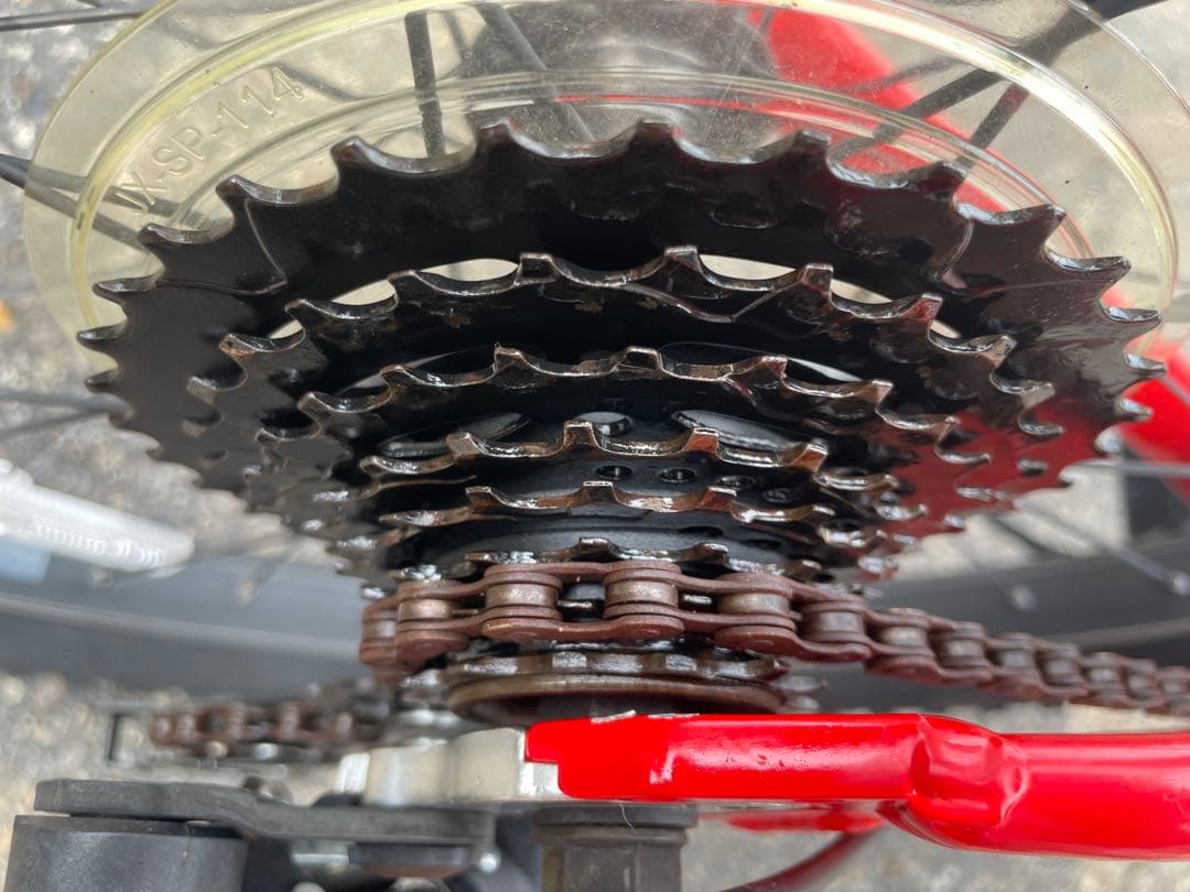 TREK マウンテンバイク　子供用　赤　24インチ PRECALIBER