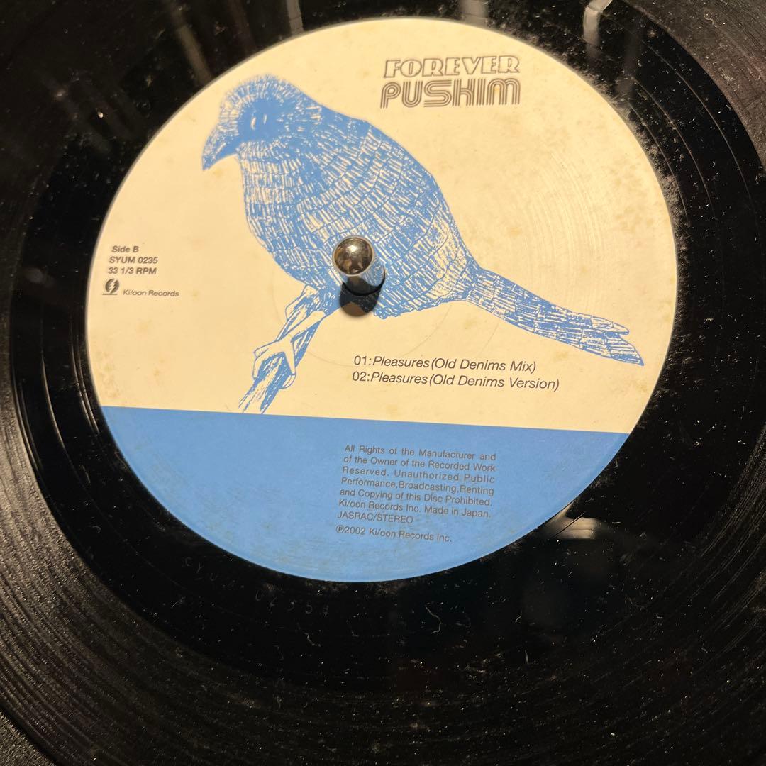 Pushim / Forever 希少　10インチ