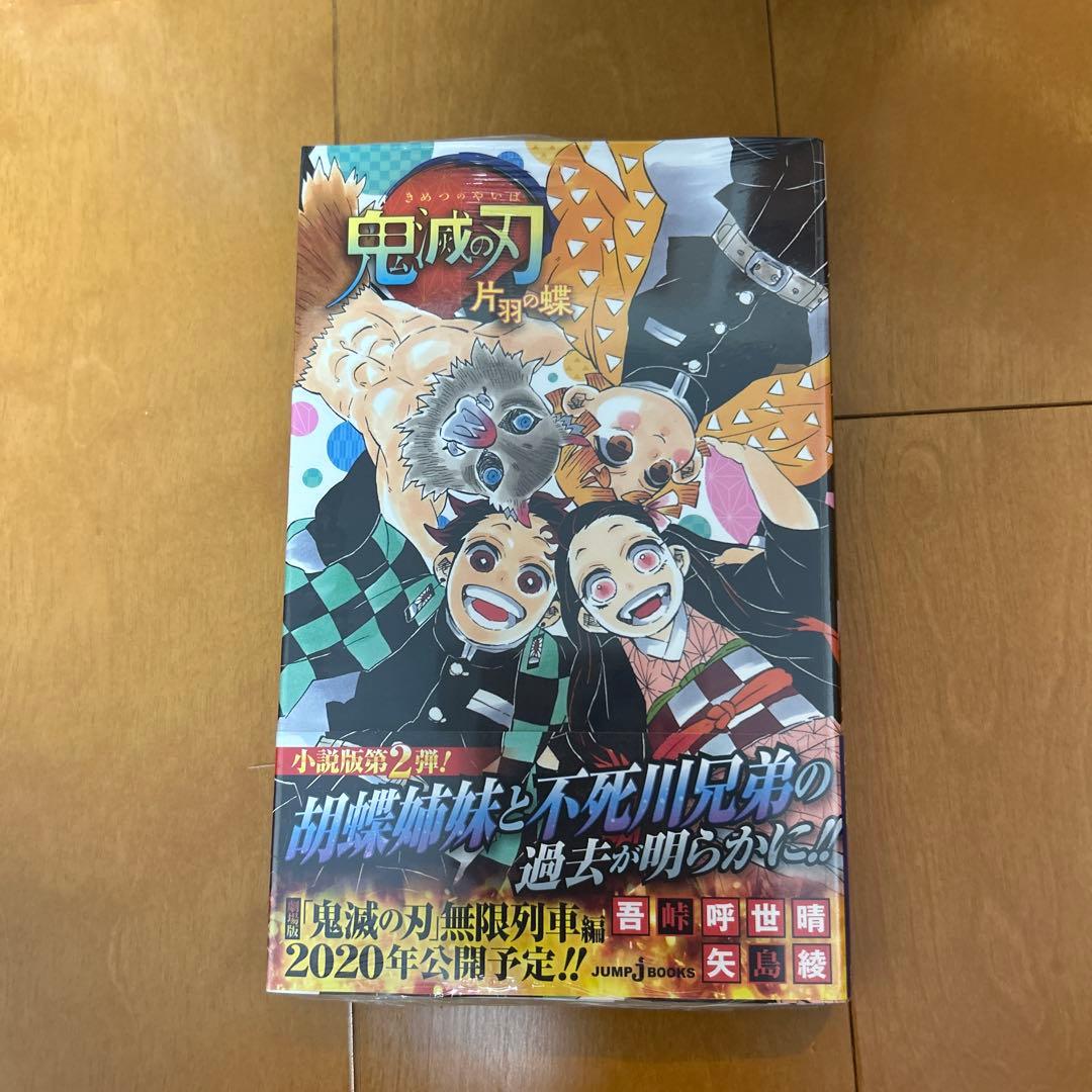漫画鬼滅の刃 1~17.19+小説2冊+公式ファンブック1冊
