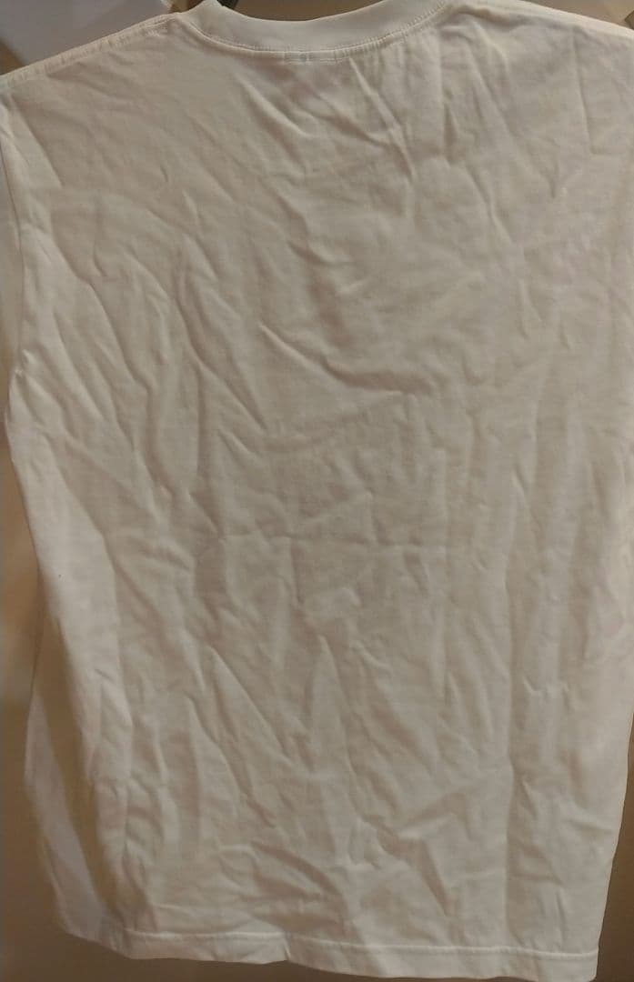 90年代 パーフェクトブルー Tシャツ Perfect Blue