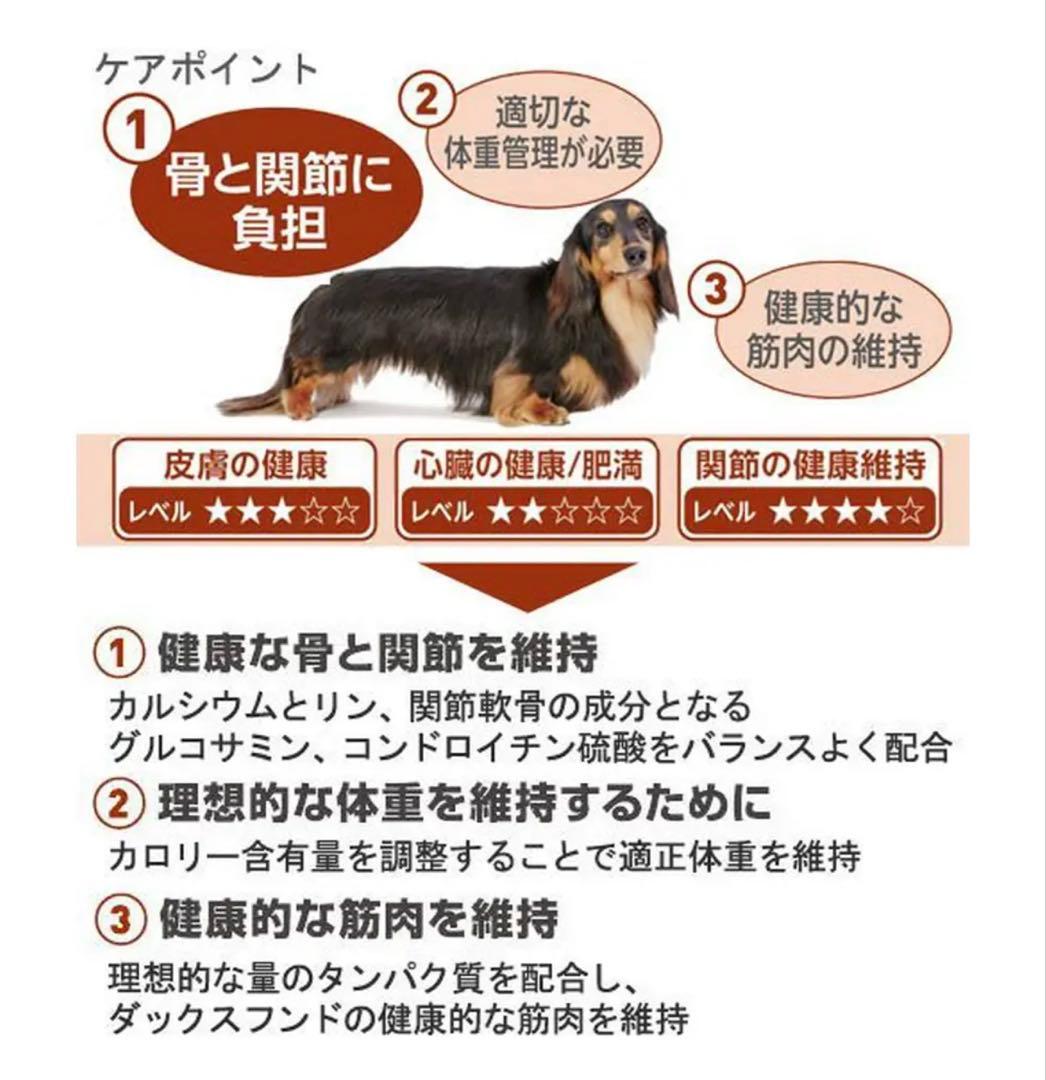  CANIN ダックスフンド 8+ 3kg【値下げしました】