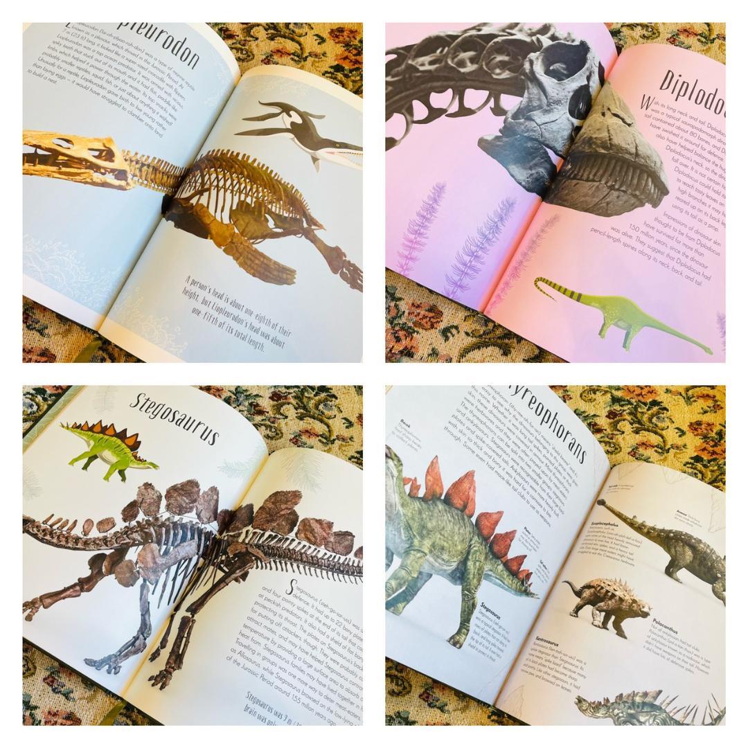 新品洋書　教養教育　博物館　辞書　辞典　恐竜　ダイナソー　Dinosaur