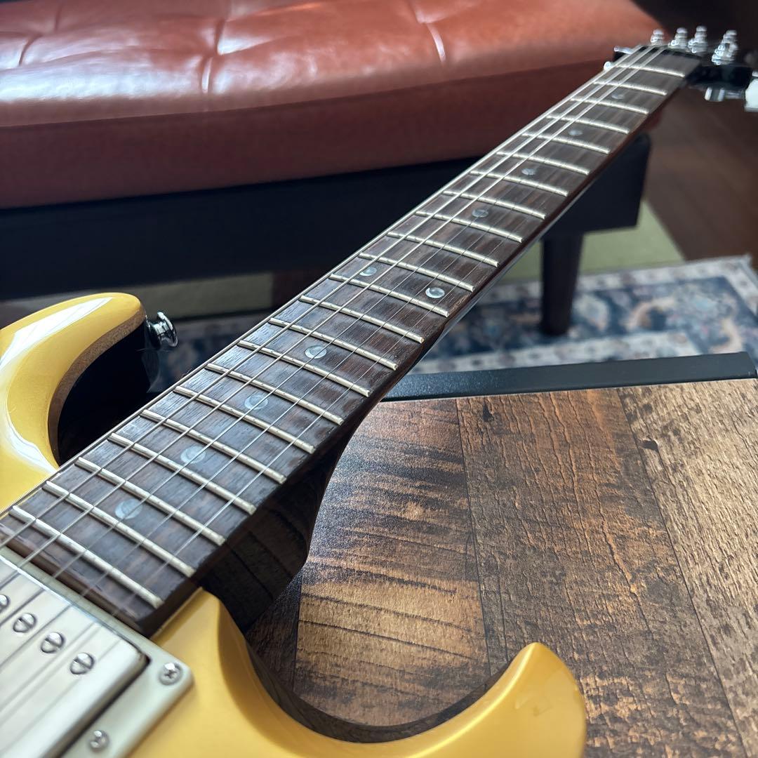 ギター PRS SE DGT