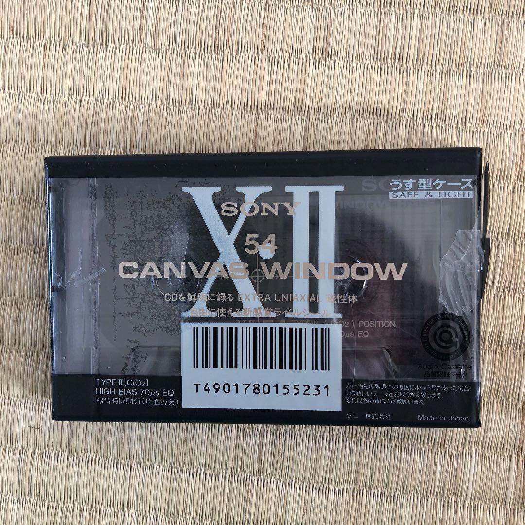その他 (90)CANVAS WINDOW50 100