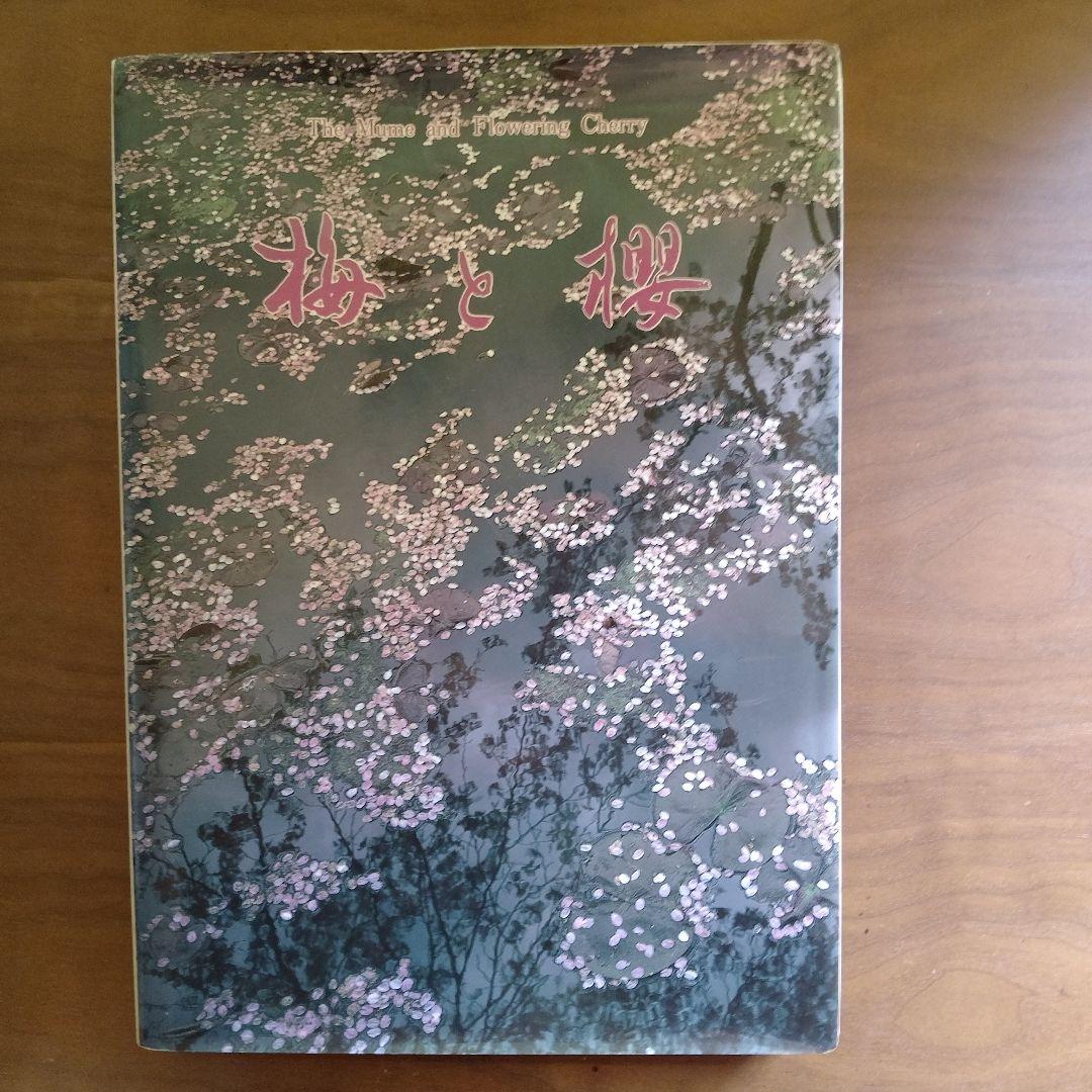 梅と桜
