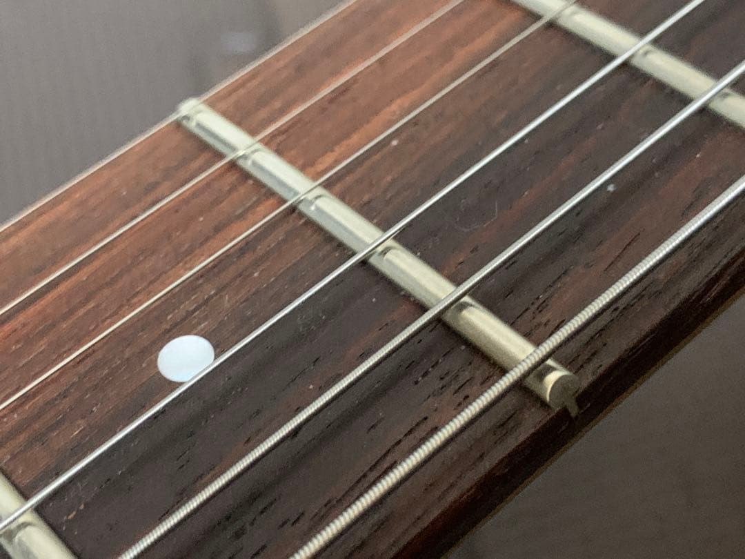 FERNANDES フェルナンデス APG-85S サスティナー ジャンク 希少