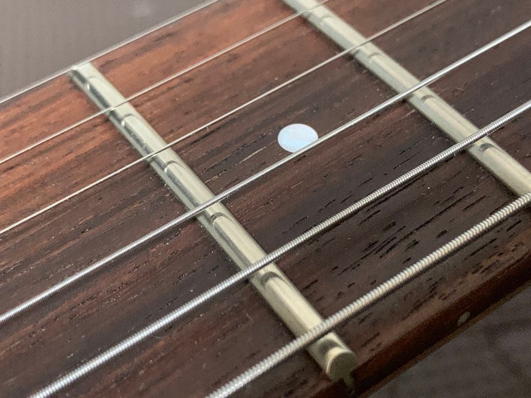FERNANDES フェルナンデス APG-85S サスティナー ジャンク 希少