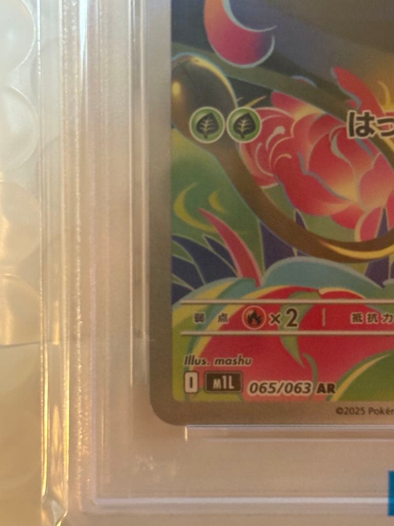 ま*✨様 フシギソウ　PSA10