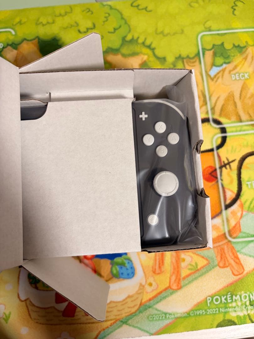 【新品未使用】　Nintendo Switch Lite グレー/Gray