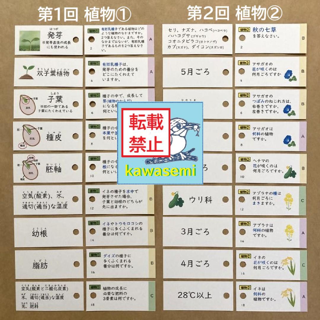 【中学受験】理科の基本事項 知識編 理科 暗記カード フルセットc