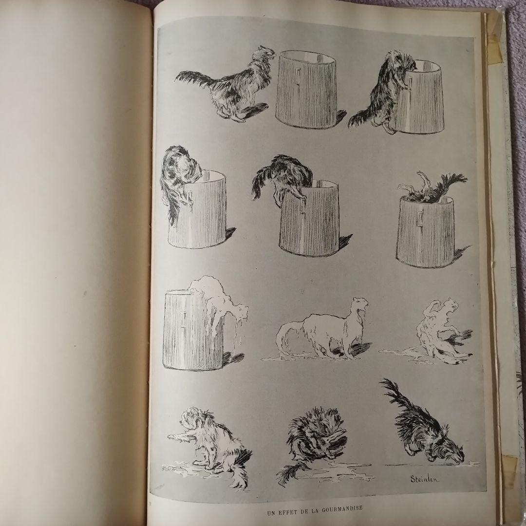 Des Chats par Steinlen 　スタンランの猫　版画集