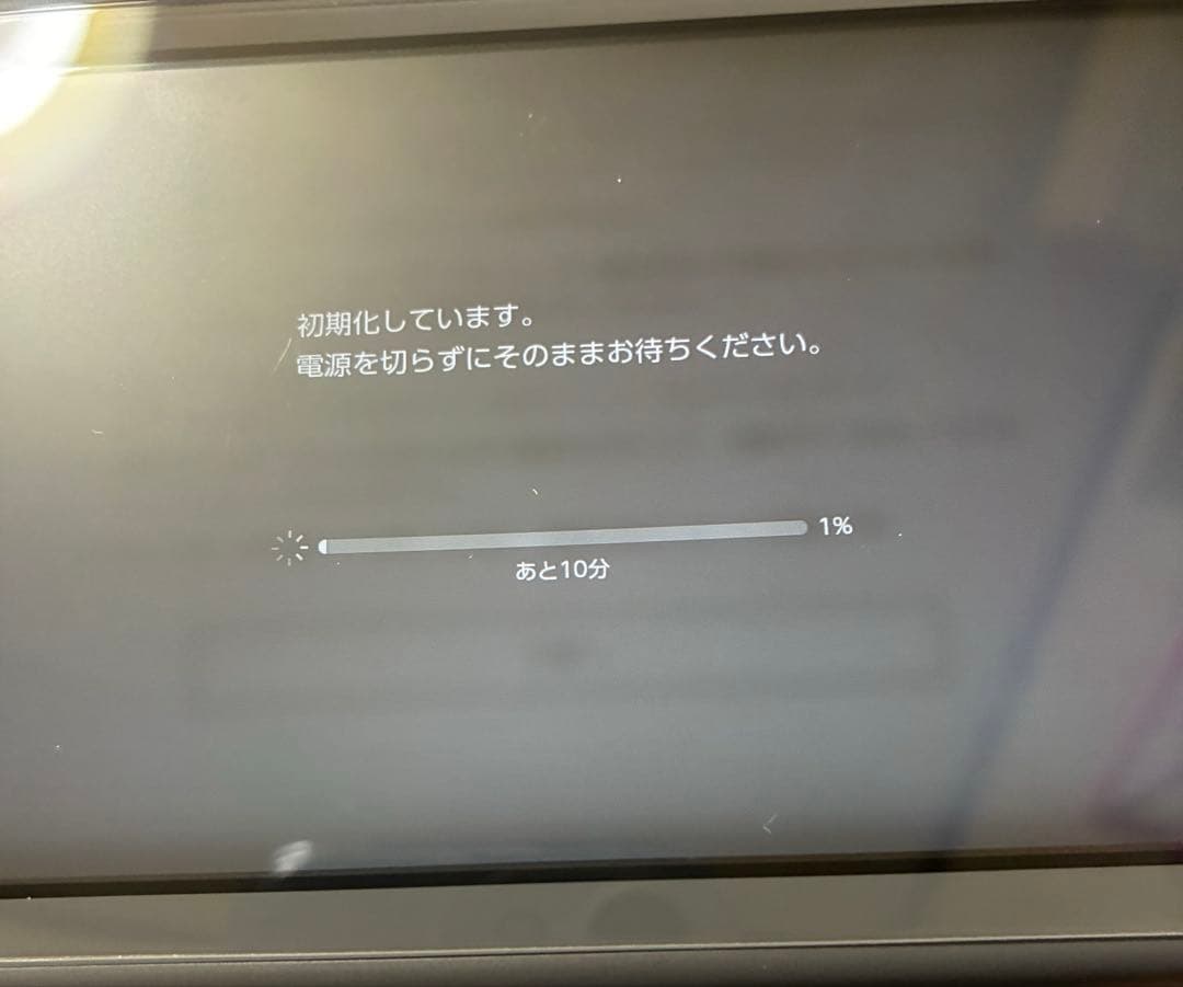 Switch Lite グレー