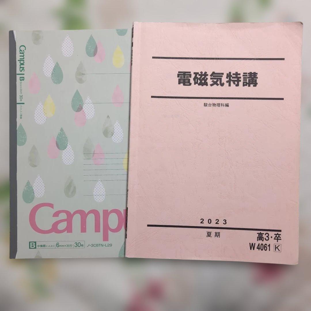 駿台　テキスト　まとめ売り　板書　プリントあり 高井隼人先生　高田先生