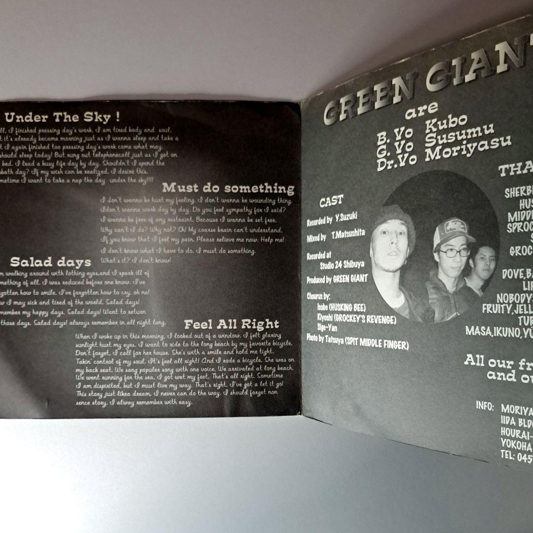 Green Giant　Under The Sky　レコード　EP　クラブヒット