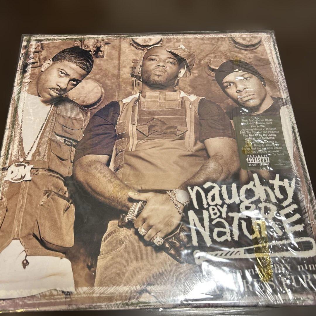 Naughty By Nature レコード3枚組