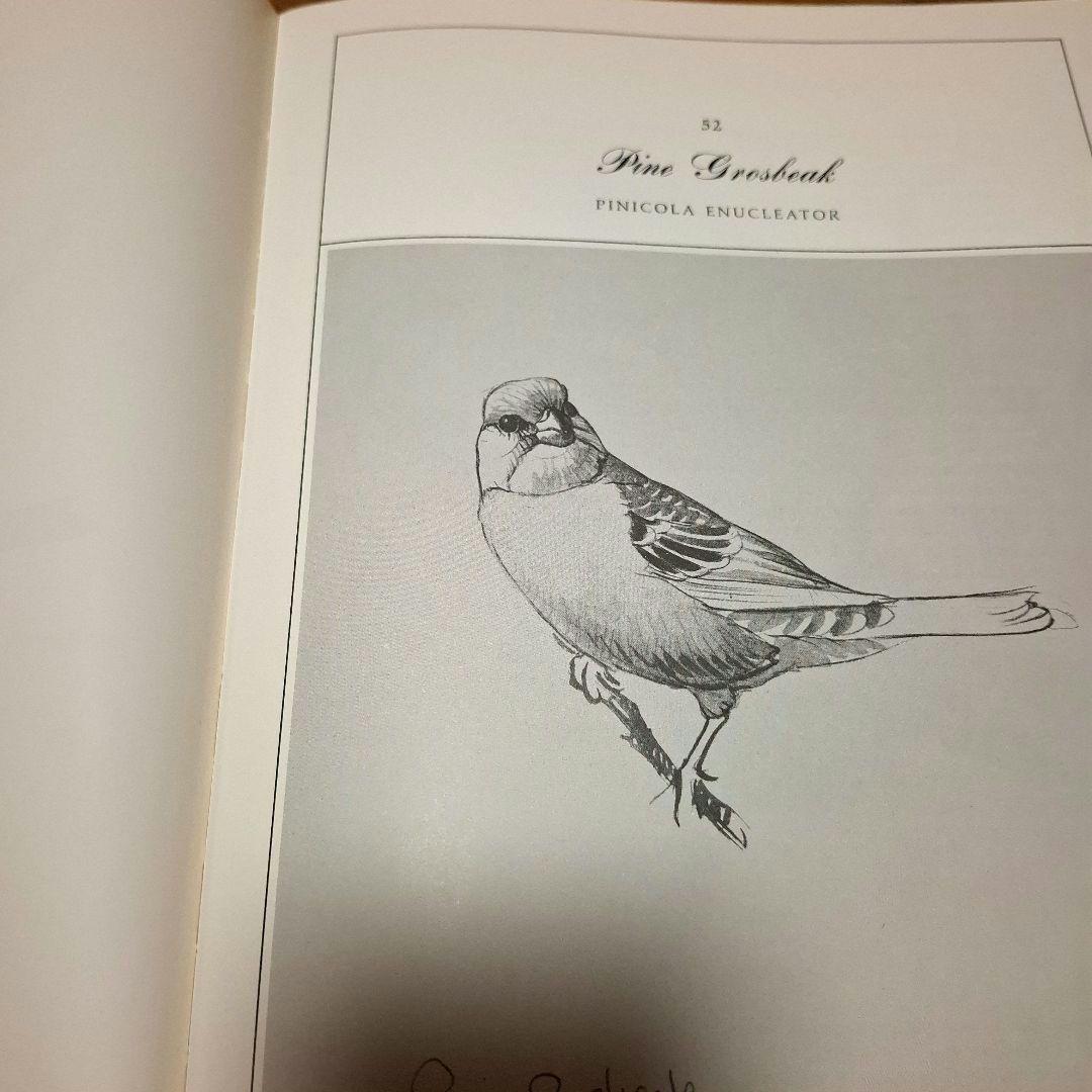 Lansdowne's Birds of the Forest　鳥の図鑑　洋書
