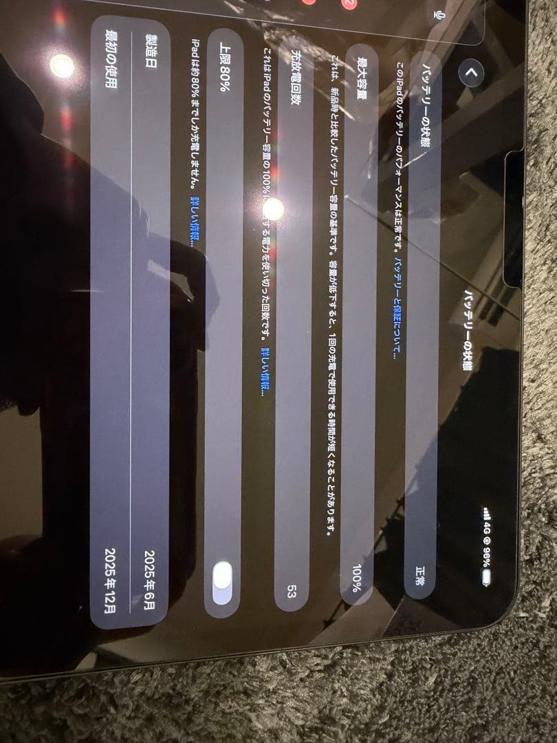 iPad Pro 11インチ M5 Wi-Fi + Cellular 256GB