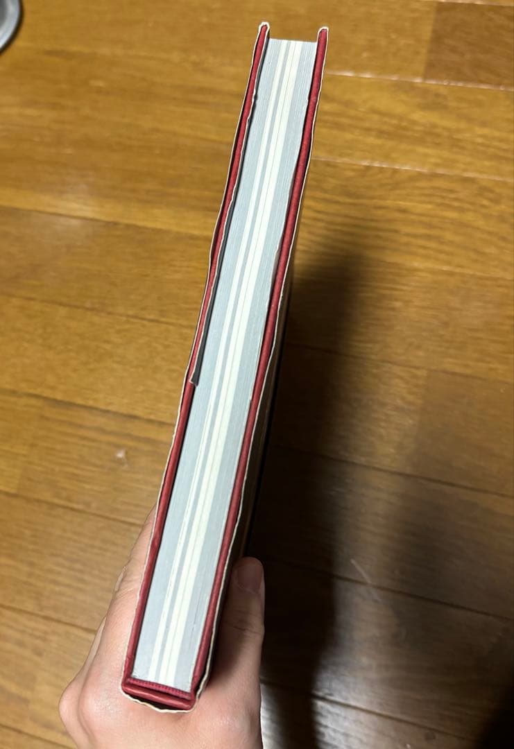 小島文美画集　緋いユリ