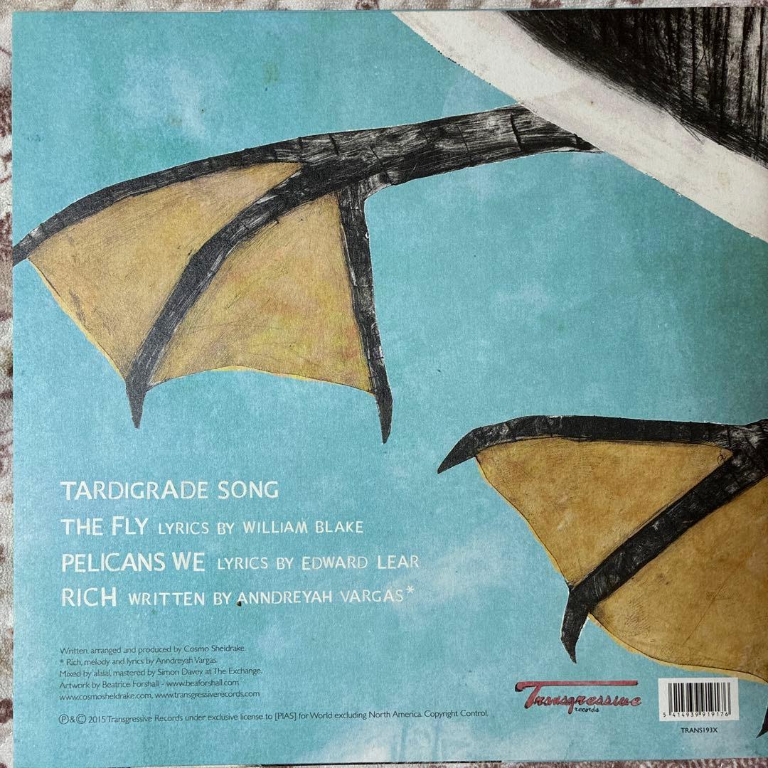 Cosmo Sheldrake/Pelicans We/廃盤レコード