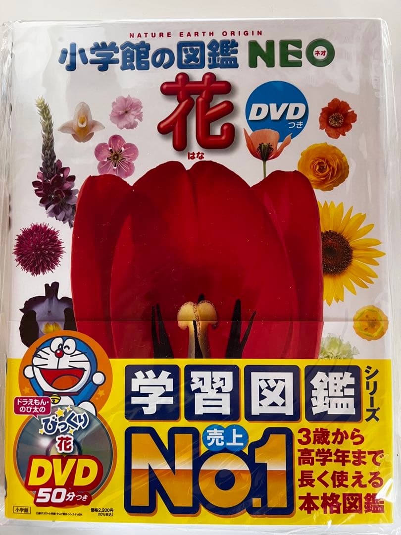 小学館の図鑑 NEO DVD付 全5巻セット
