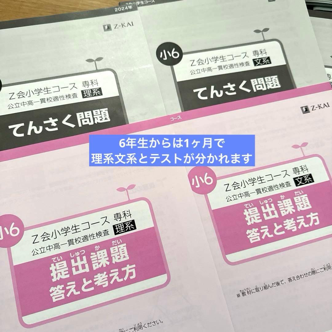 Z会　エブリスタディ　公立中高一貫校適性検査　6年　1年分