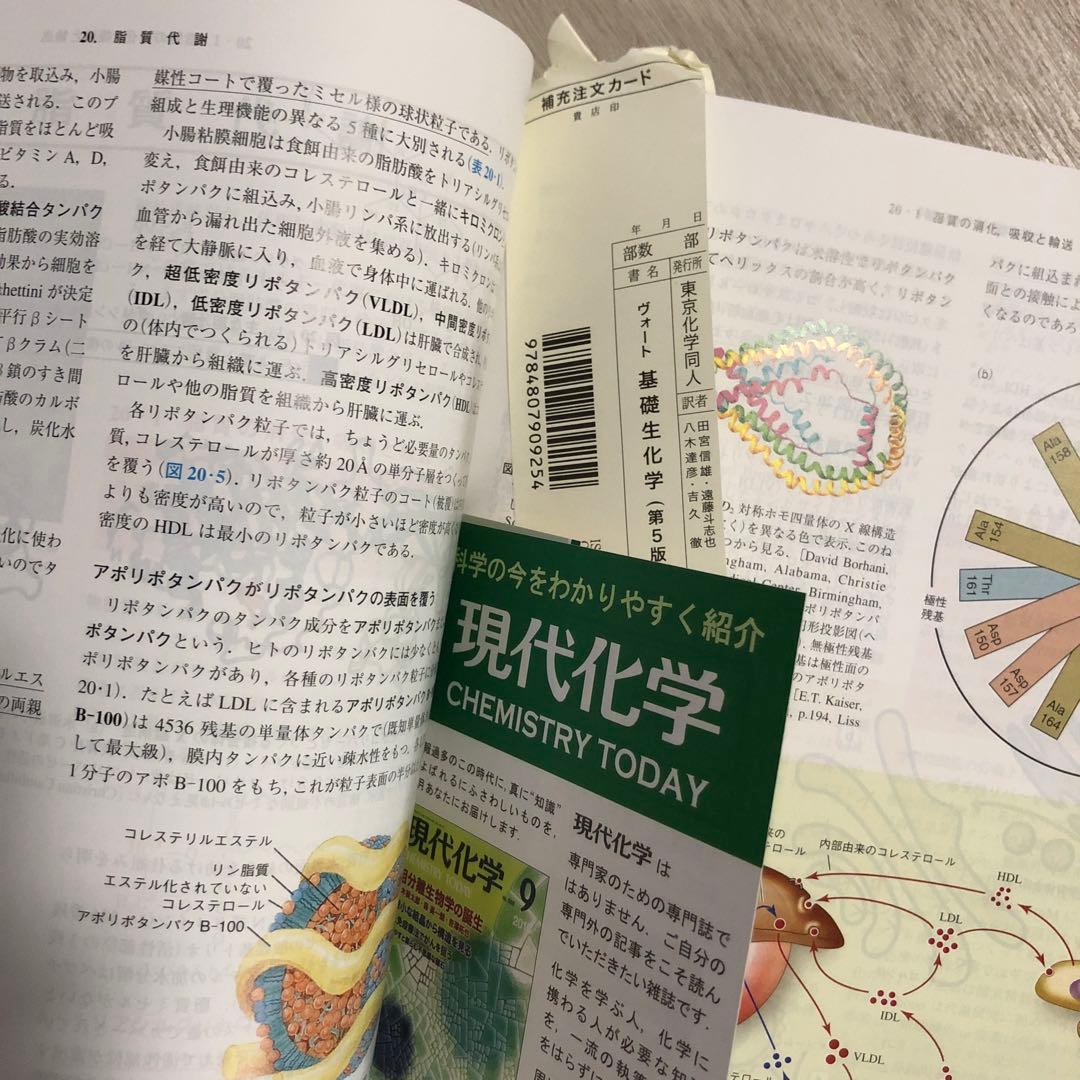 ヴォート基礎生化学　第5版