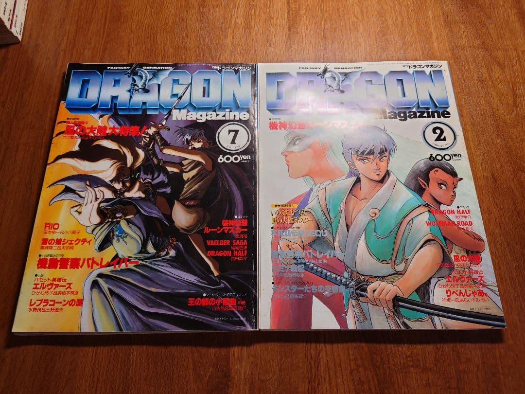 富士見書房 月刊ドラゴンマガジン ×12冊