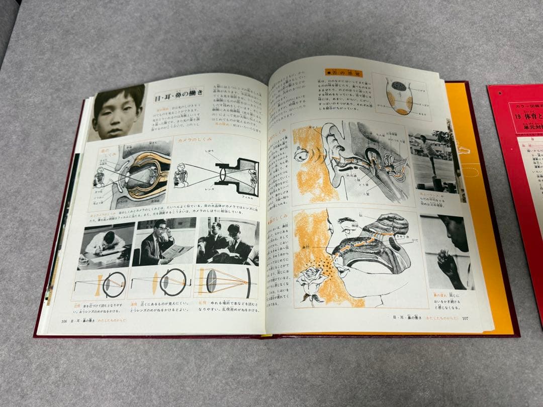 カラー図鑑百科 世界文化社 体育と保健 水泳 体操 ブルマ 昭和レトロ 希少