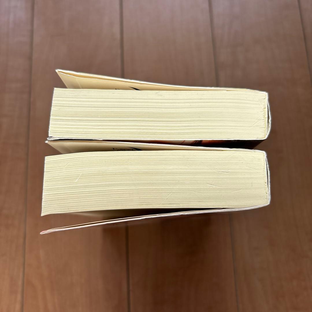 千草忠夫 略奪愛 & 赫い蠍　 エクセルノベルズ　2冊セット