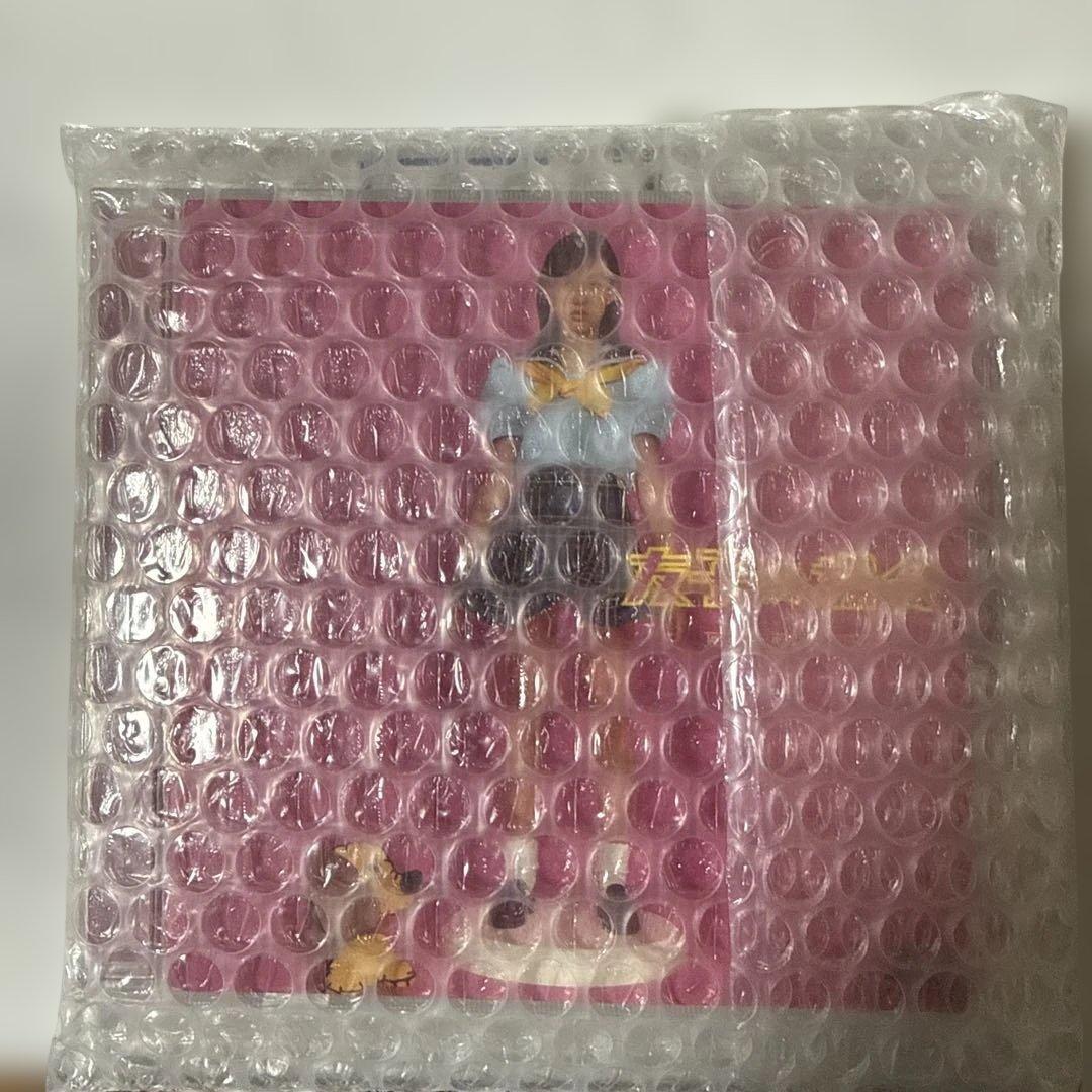 友子の場合DVD専用のケースがあります