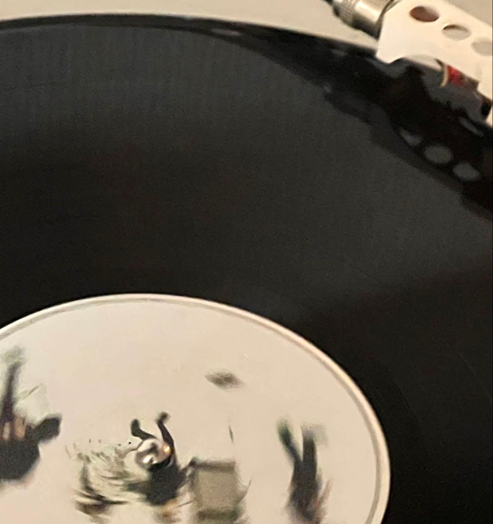 オリジナル盤　ミッシェルガンエレファント　カサノバスネイク　LP