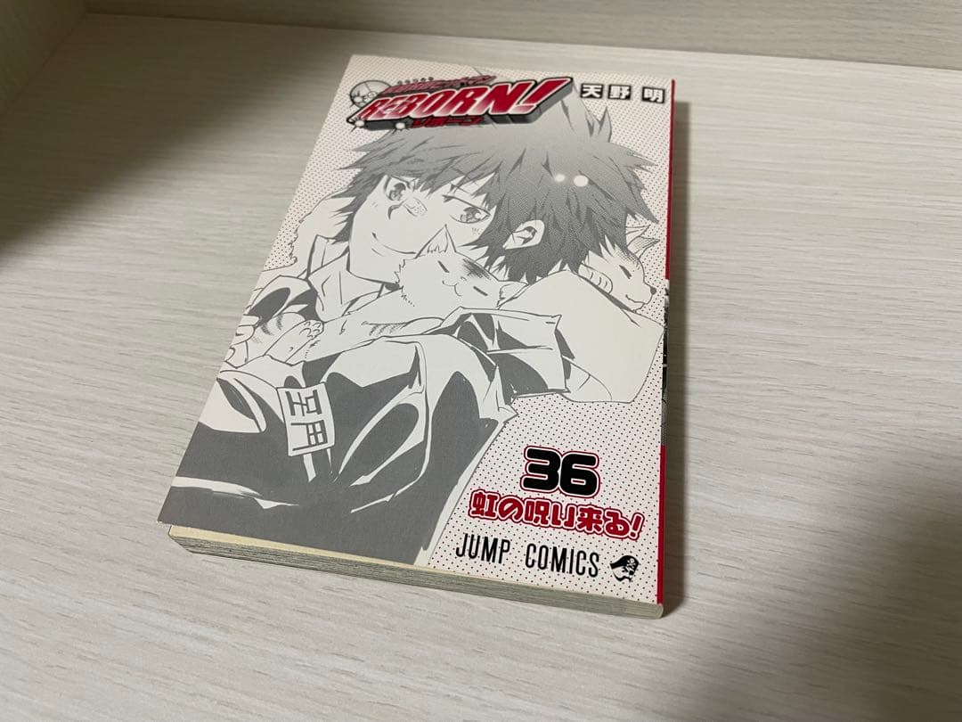 家庭教師ヒットマンREBORN! 1〜42巻＋公式本＋小説全巻（抜け巻あり）