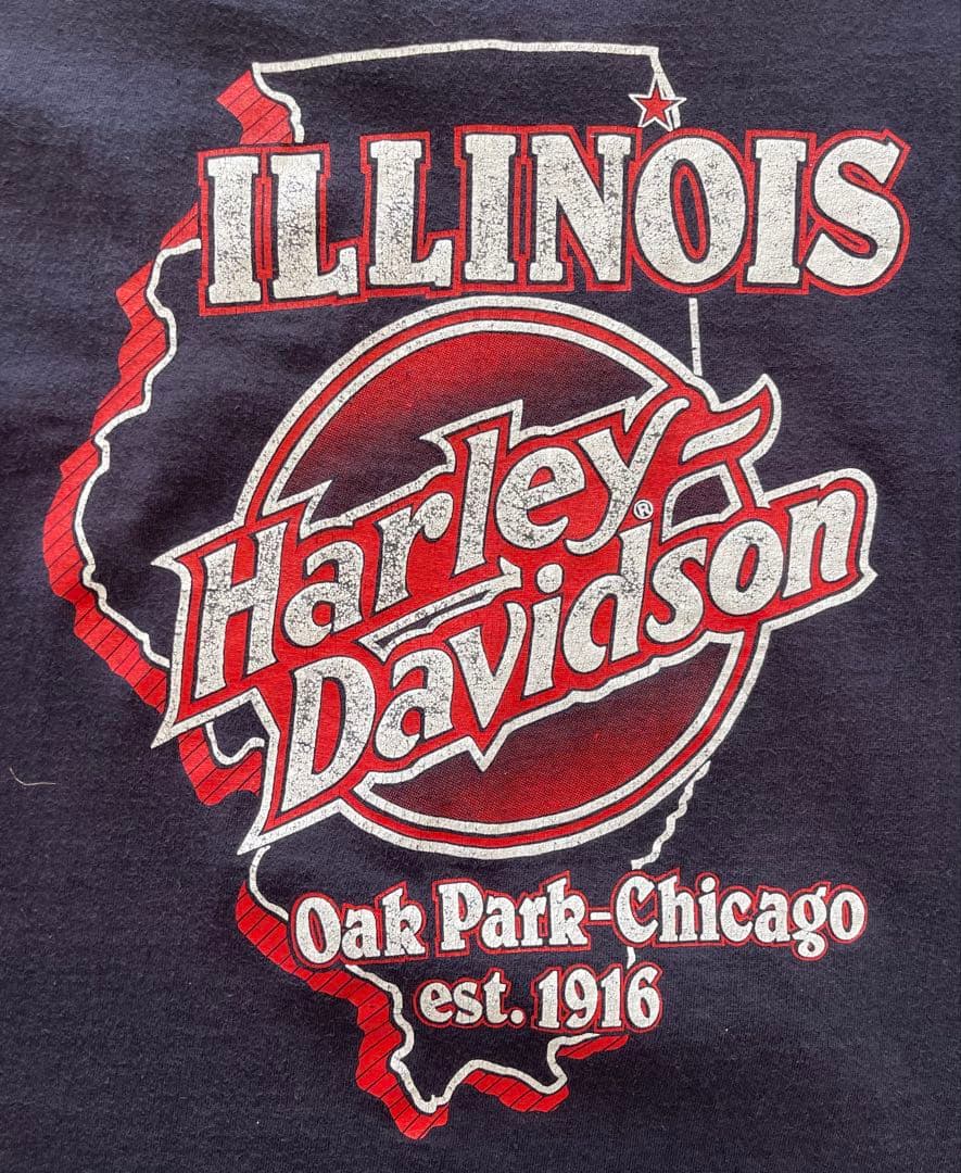 Harley Davidson Hawg Wild 80s Tシャツ
