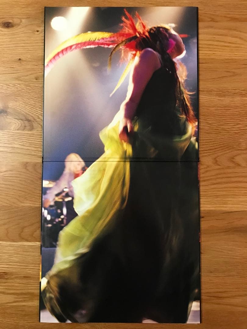 UA – Fine Feathers Make Fine Birds LP