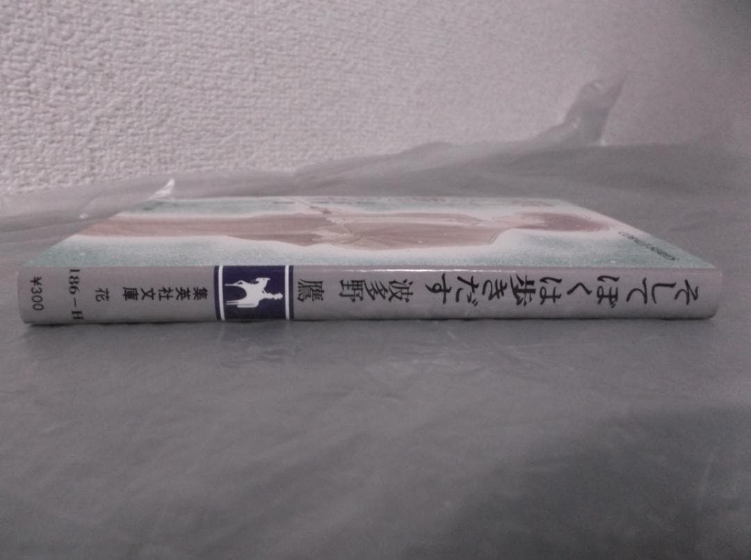 【送料無料】MB－36　そしてぼくは歩きだす　（波多野鷹）