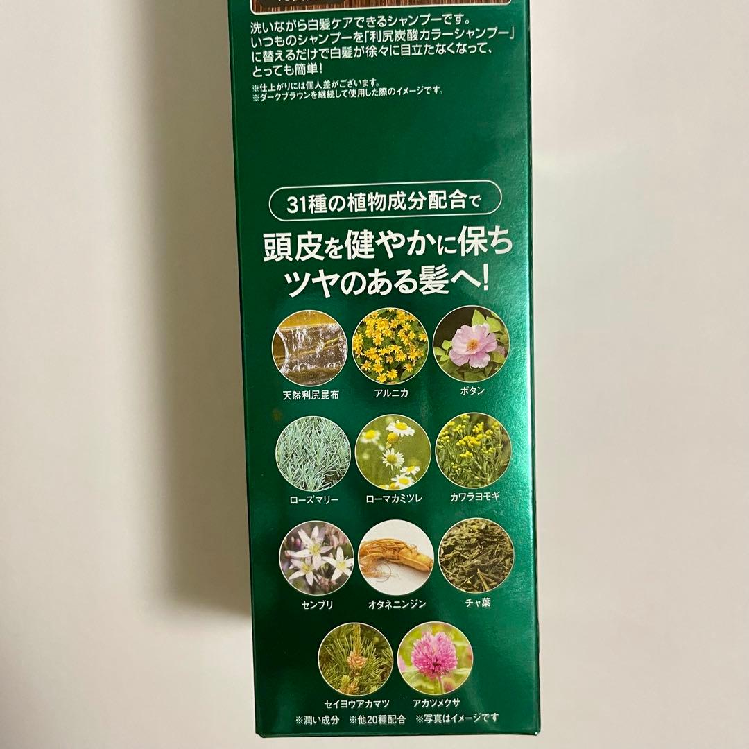 【新品未開封】利尻昆布 炭酸カラーシャンプー 3本セット (ダークブラウン)