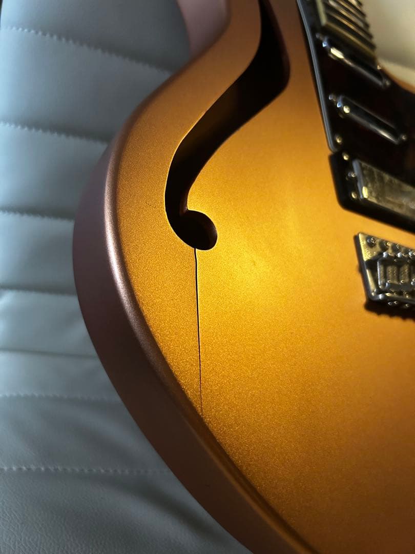 ギター D'Angelico Deluxe Bedford sh