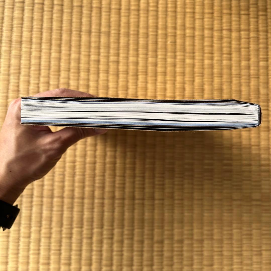Sophie Calle『Picalso』アートブック／ソフィ・カル