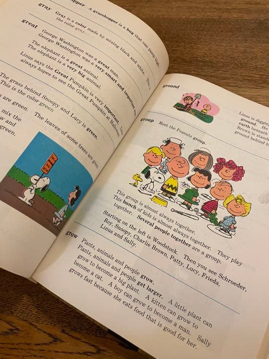 チャーリーブラウンディクショナリー　CharlieBrownDictionary